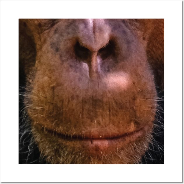 Monkey mouth face mask - monkey lover gifts - monkey face masks Wall Art by jack22